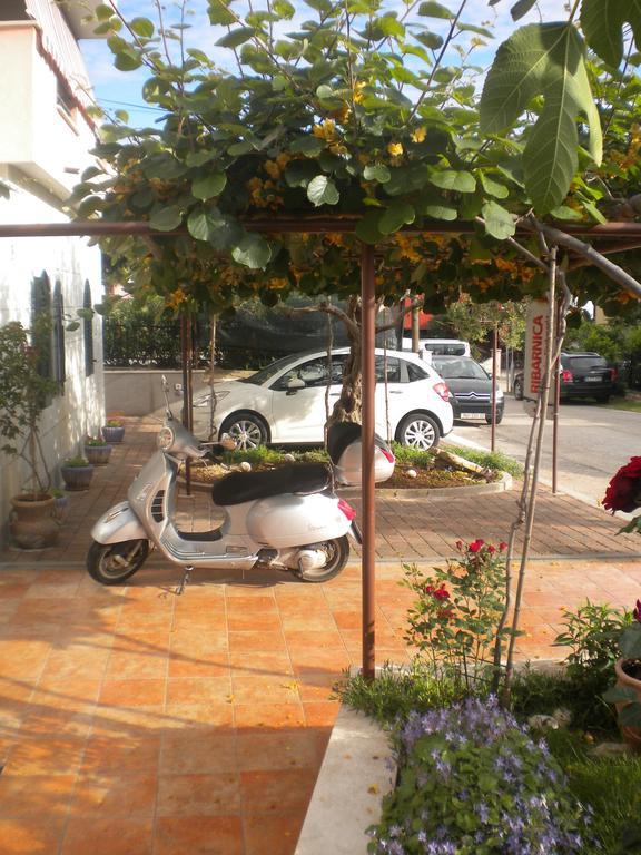 Apartments Miani Новиград Экстерьер фото